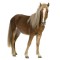 shetland-pony3-igallery-image0000115.igallery.image0000001--640x480--logo--server-koniccicz.jpg